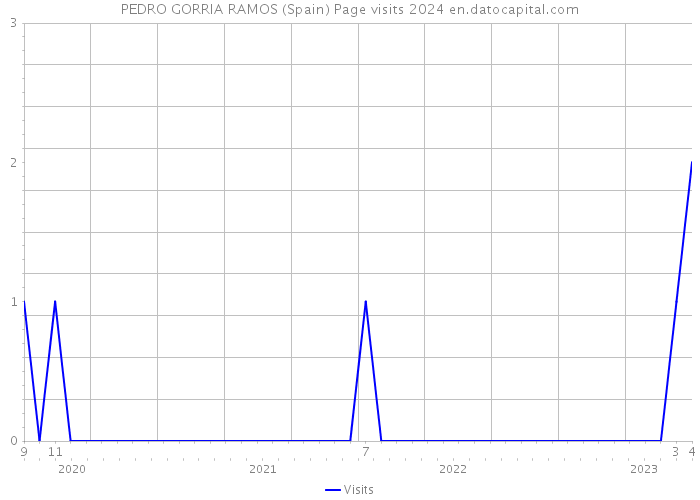 PEDRO GORRIA RAMOS (Spain) Page visits 2024 