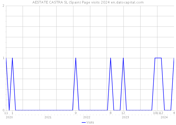 AESTATE CASTRA SL (Spain) Page visits 2024 