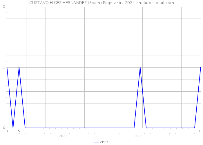 GUSTAVO HIGES HERNANDEZ (Spain) Page visits 2024 