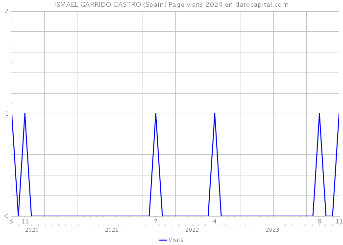 ISMAEL GARRIDO CASTRO (Spain) Page visits 2024 