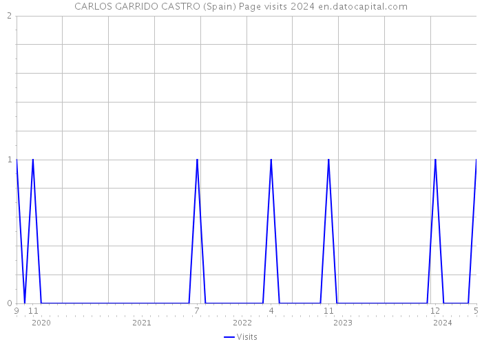 CARLOS GARRIDO CASTRO (Spain) Page visits 2024 