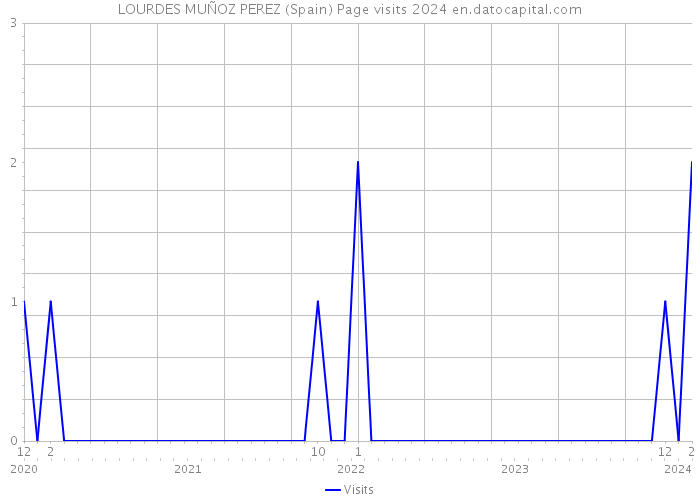 LOURDES MUÑOZ PEREZ (Spain) Page visits 2024 