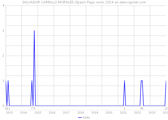 SALVADOR CARRILLO MORALES (Spain) Page visits 2024 