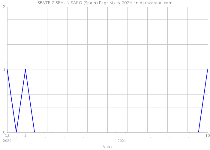 BEATRIZ BRAUN SARO (Spain) Page visits 2024 