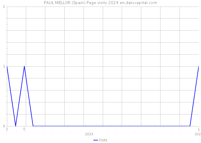 PAUL MELLOR (Spain) Page visits 2024 