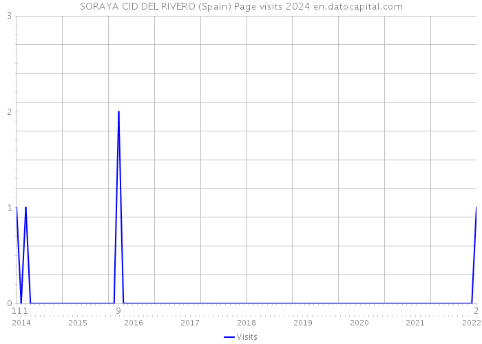 SORAYA CID DEL RIVERO (Spain) Page visits 2024 