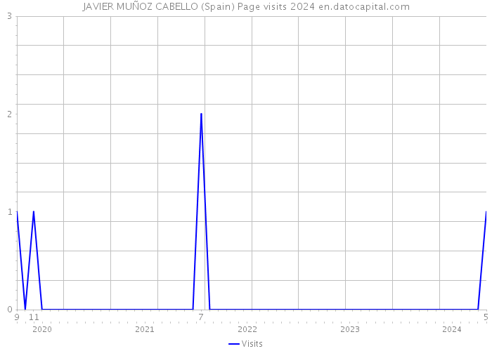 JAVIER MUÑOZ CABELLO (Spain) Page visits 2024 