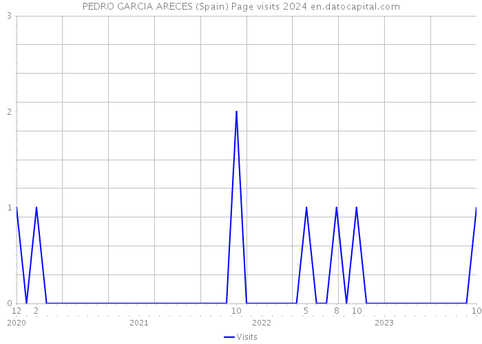 PEDRO GARCIA ARECES (Spain) Page visits 2024 