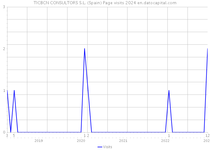 TICBCN CONSULTORS S.L. (Spain) Page visits 2024 