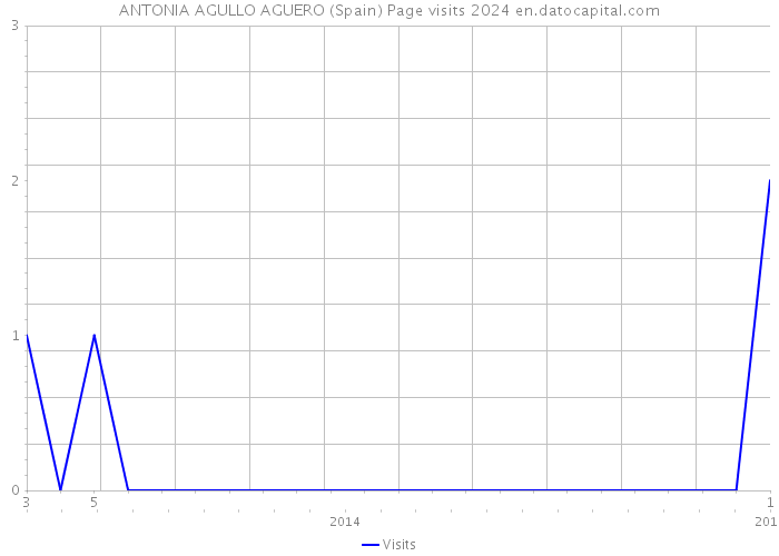 ANTONIA AGULLO AGUERO (Spain) Page visits 2024 