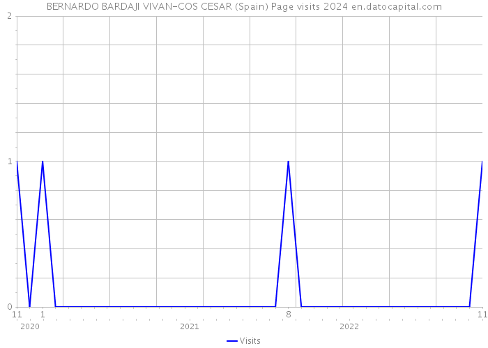 BERNARDO BARDAJI VIVAN-COS CESAR (Spain) Page visits 2024 