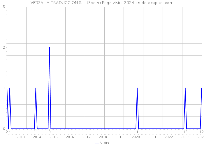 VERSALIA TRADUCCION S.L. (Spain) Page visits 2024 