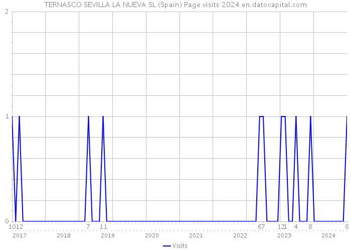 TERNASCO SEVILLA LA NUEVA SL (Spain) Page visits 2024 