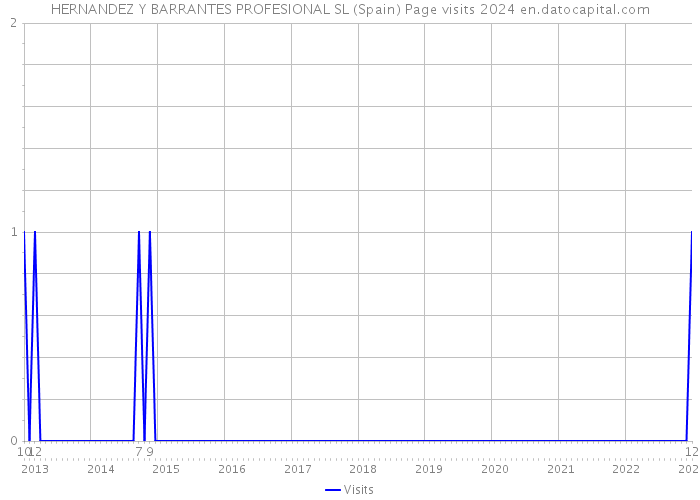 HERNANDEZ Y BARRANTES PROFESIONAL SL (Spain) Page visits 2024 