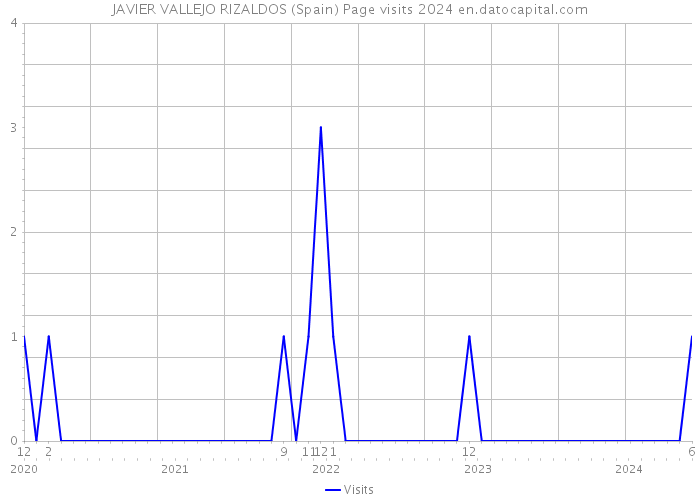 JAVIER VALLEJO RIZALDOS (Spain) Page visits 2024 
