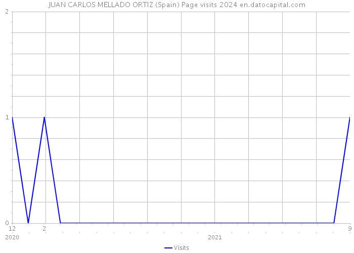 JUAN CARLOS MELLADO ORTIZ (Spain) Page visits 2024 