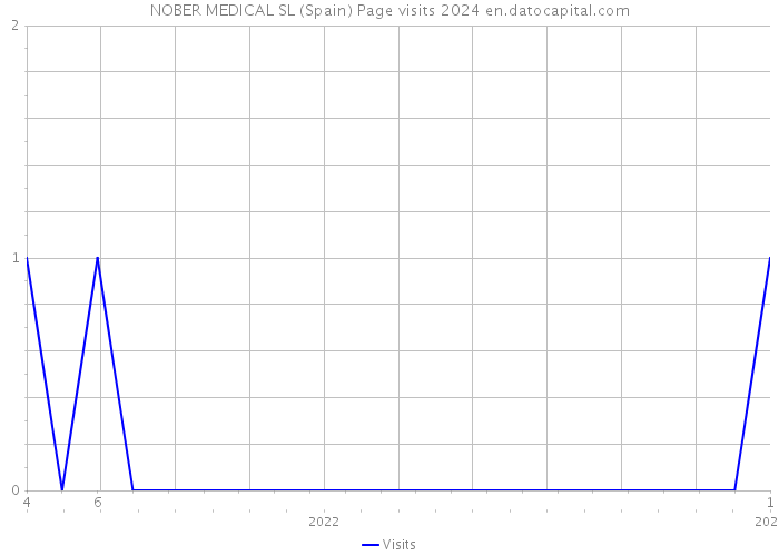 NOBER MEDICAL SL (Spain) Page visits 2024 