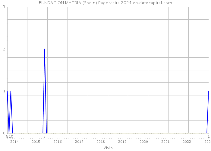 FUNDACION MATRIA (Spain) Page visits 2024 