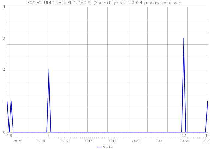 FSG ESTUDIO DE PUBLICIDAD SL (Spain) Page visits 2024 