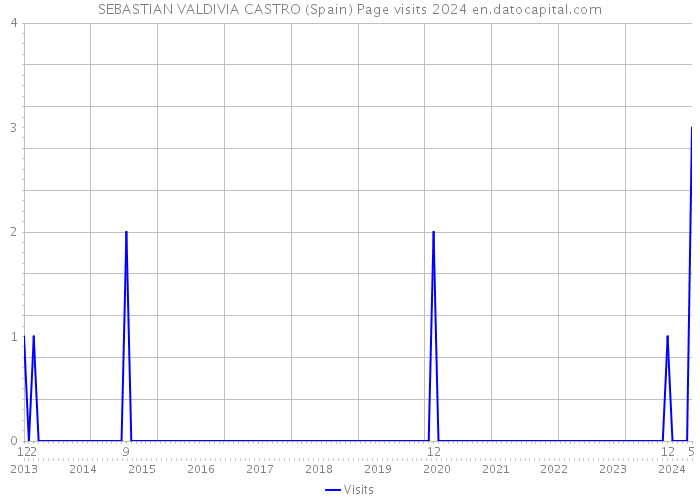 SEBASTIAN VALDIVIA CASTRO (Spain) Page visits 2024 