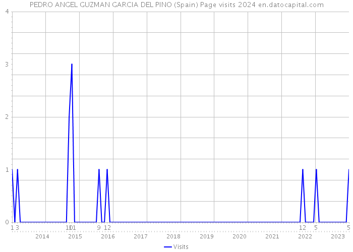 PEDRO ANGEL GUZMAN GARCIA DEL PINO (Spain) Page visits 2024 