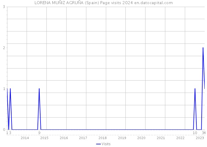 LORENA MUÑIZ AGRUÑA (Spain) Page visits 2024 