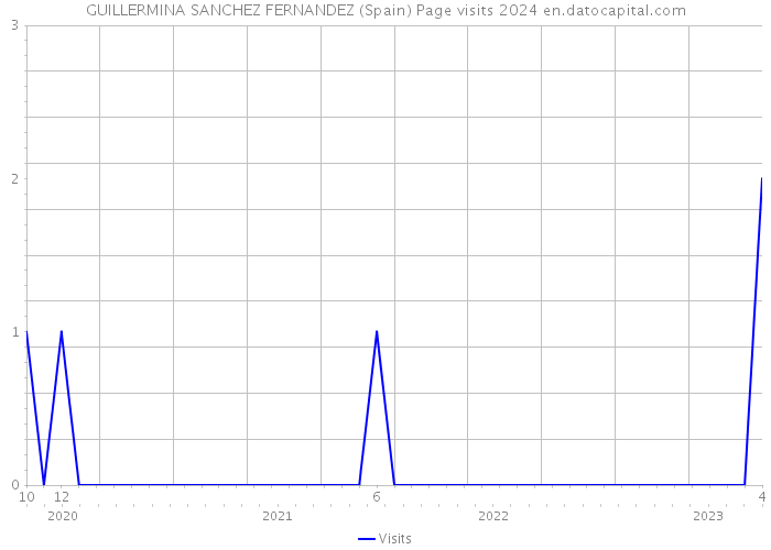 GUILLERMINA SANCHEZ FERNANDEZ (Spain) Page visits 2024 