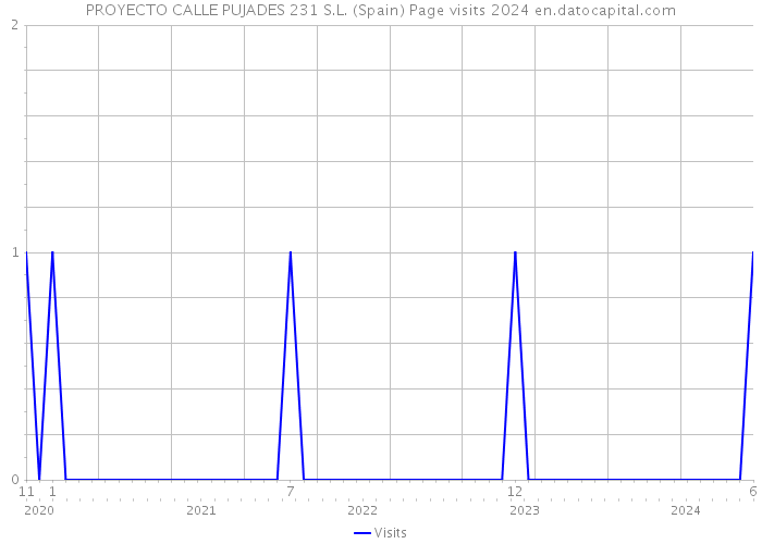 PROYECTO CALLE PUJADES 231 S.L. (Spain) Page visits 2024 