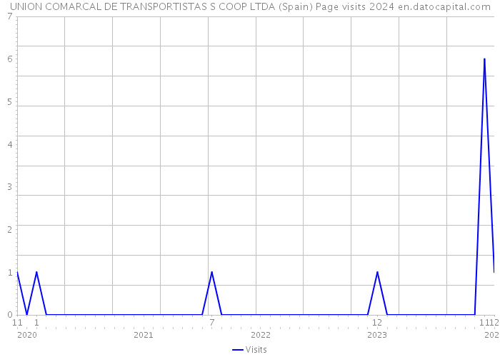 UNION COMARCAL DE TRANSPORTISTAS S COOP LTDA (Spain) Page visits 2024 
