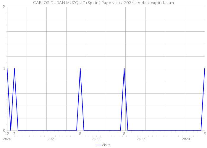 CARLOS DURAN MUZQUIZ (Spain) Page visits 2024 