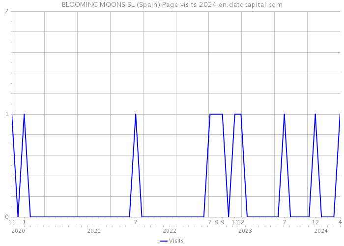 BLOOMING MOONS SL (Spain) Page visits 2024 