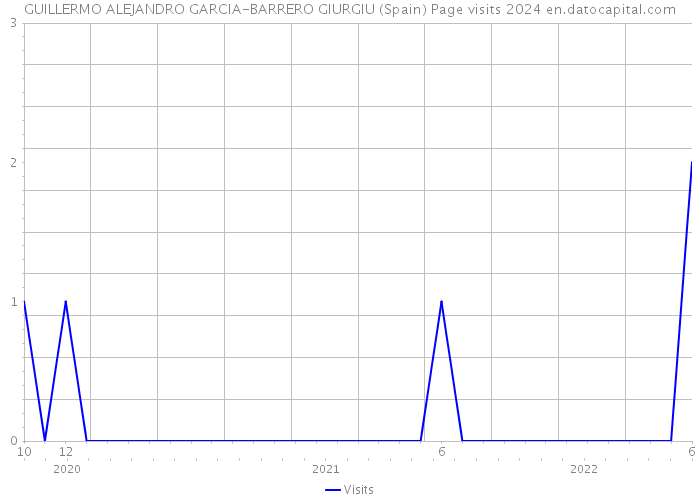 GUILLERMO ALEJANDRO GARCIA-BARRERO GIURGIU (Spain) Page visits 2024 