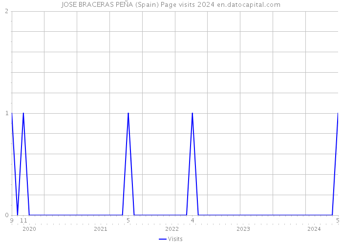 JOSE BRACERAS PEÑA (Spain) Page visits 2024 