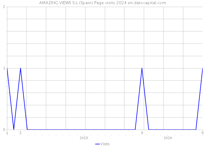 AMAZING VIEWS S.L (Spain) Page visits 2024 