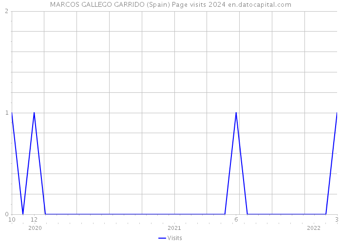 MARCOS GALLEGO GARRIDO (Spain) Page visits 2024 
