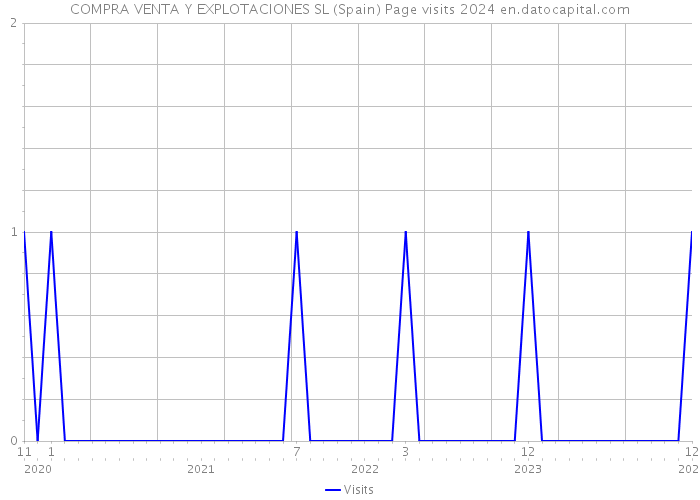 COMPRA VENTA Y EXPLOTACIONES SL (Spain) Page visits 2024 