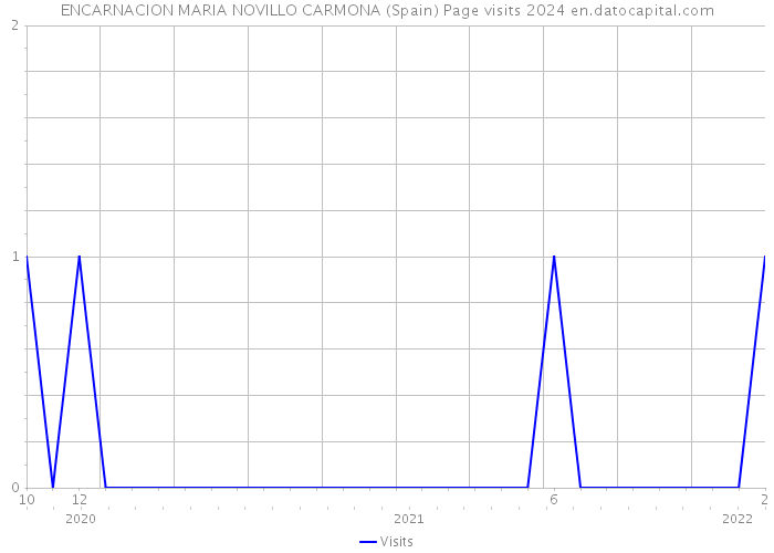 ENCARNACION MARIA NOVILLO CARMONA (Spain) Page visits 2024 