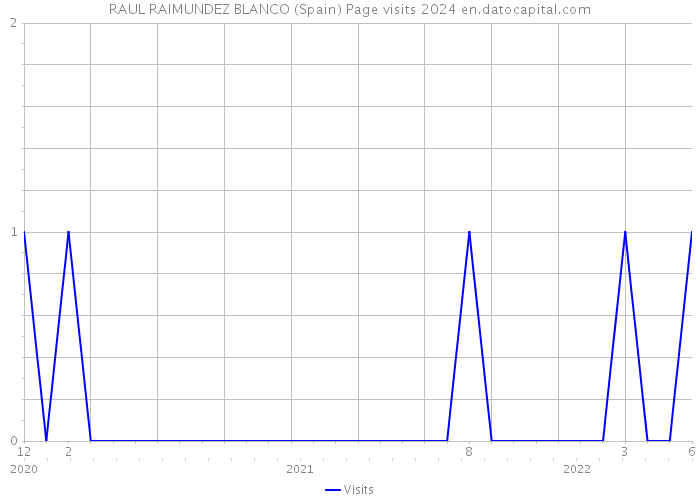 RAUL RAIMUNDEZ BLANCO (Spain) Page visits 2024 