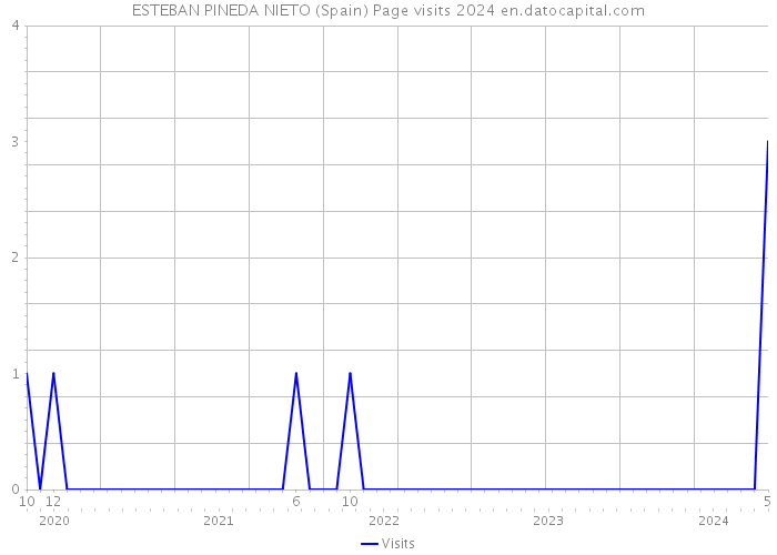 ESTEBAN PINEDA NIETO (Spain) Page visits 2024 