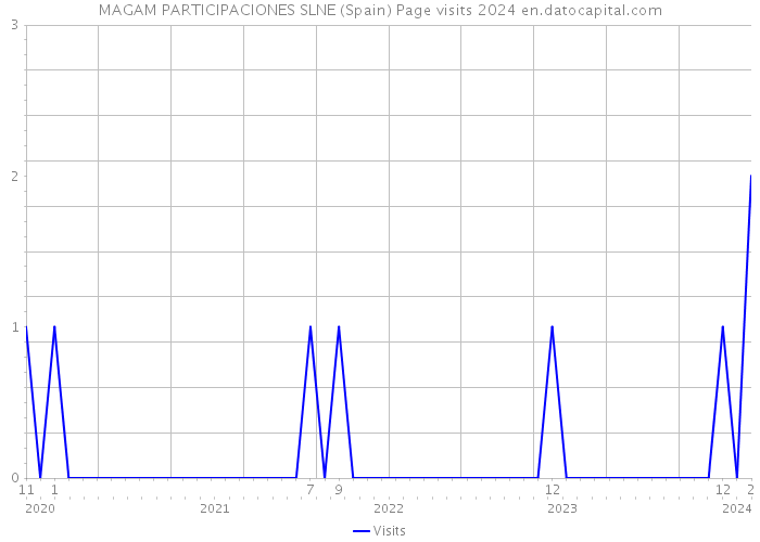 MAGAM PARTICIPACIONES SLNE (Spain) Page visits 2024 
