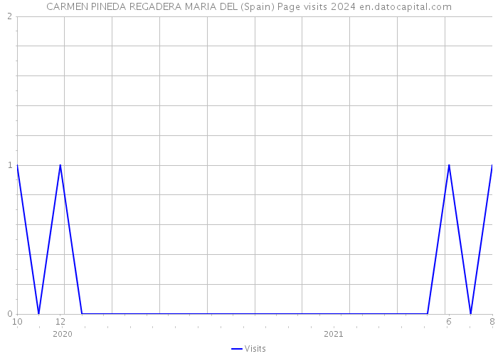 CARMEN PINEDA REGADERA MARIA DEL (Spain) Page visits 2024 