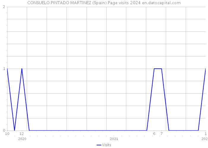 CONSUELO PINTADO MARTINEZ (Spain) Page visits 2024 