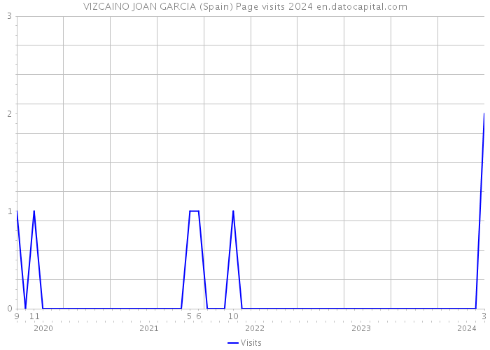 VIZCAINO JOAN GARCIA (Spain) Page visits 2024 