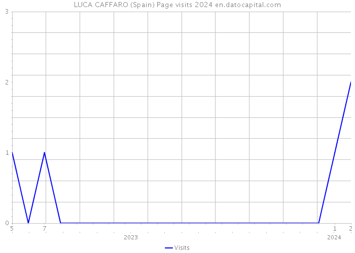 LUCA CAFFARO (Spain) Page visits 2024 