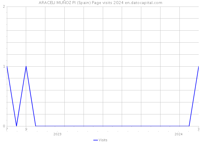 ARACELI MUÑOZ PI (Spain) Page visits 2024 