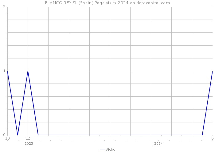 BLANCO REY SL (Spain) Page visits 2024 