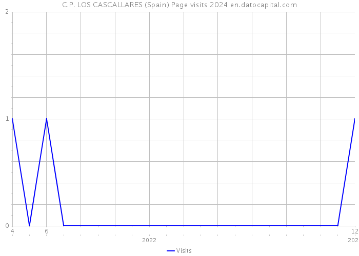 C.P. LOS CASCALLARES (Spain) Page visits 2024 