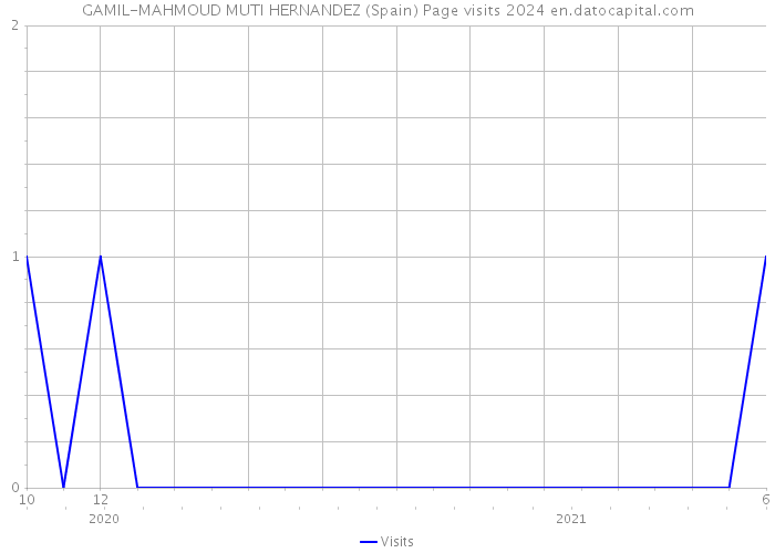 GAMIL-MAHMOUD MUTI HERNANDEZ (Spain) Page visits 2024 