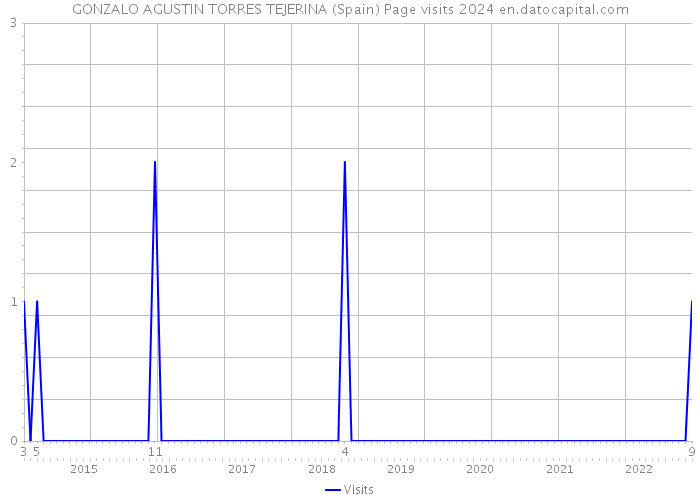 GONZALO AGUSTIN TORRES TEJERINA (Spain) Page visits 2024 