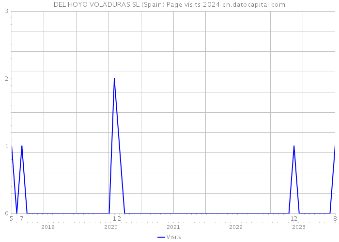 DEL HOYO VOLADURAS SL (Spain) Page visits 2024 
